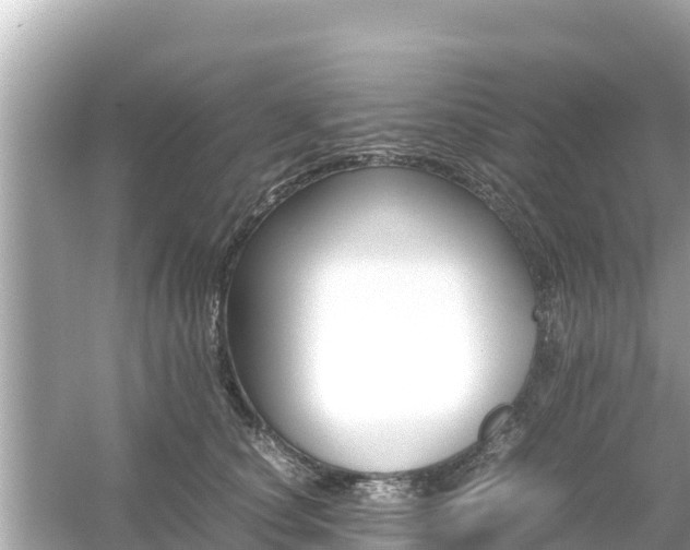 X0000054450660200508051926