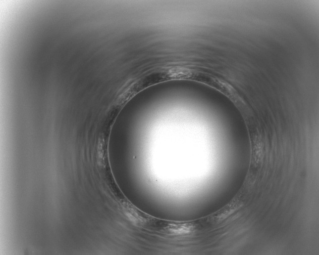 X0000054450667200508051926