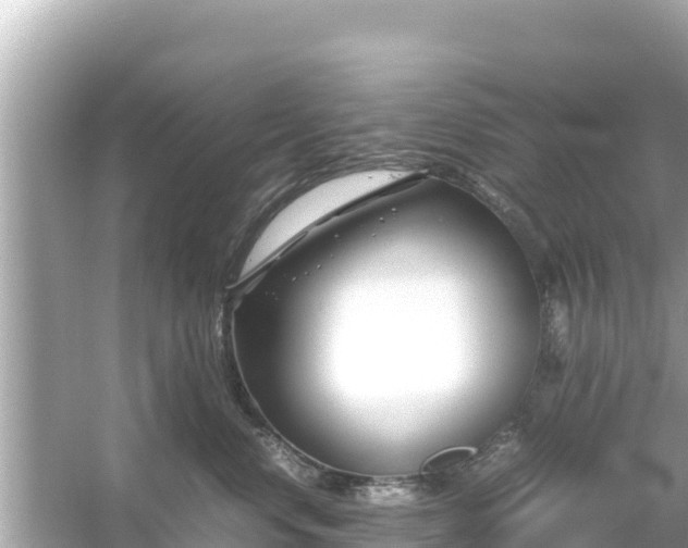 X0000054450668200508051926
