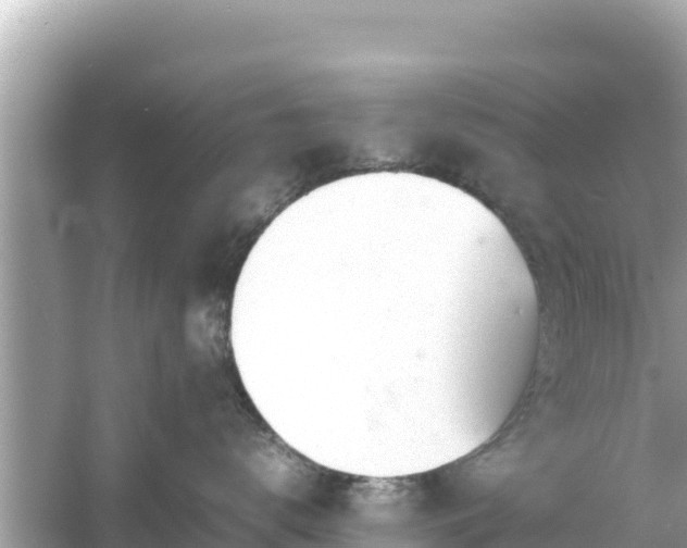 X0000054450672200508051926