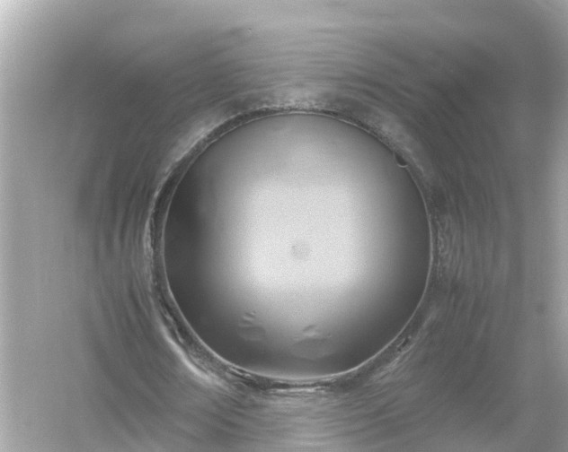 X0000054450674200508051925