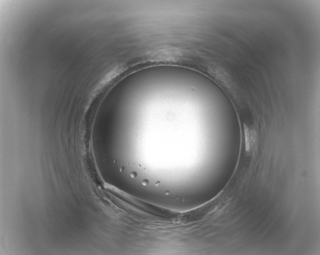X0000054450675200508051925