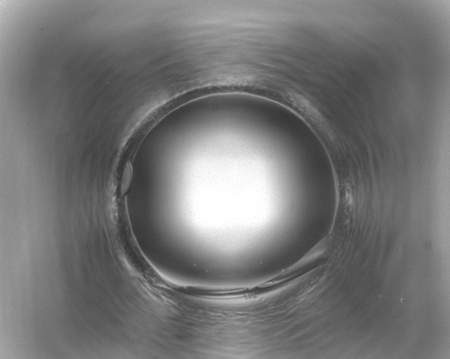 X0000054450676200508051925