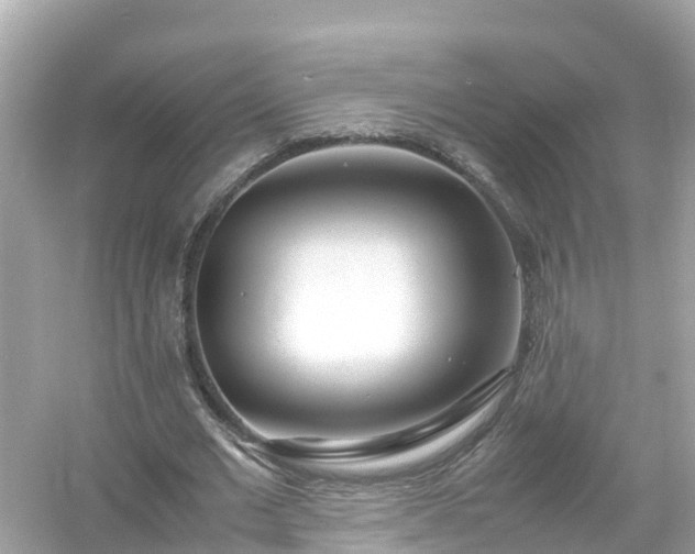 X0000054450677200508051925