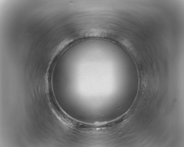 X0000054450678200508051925
