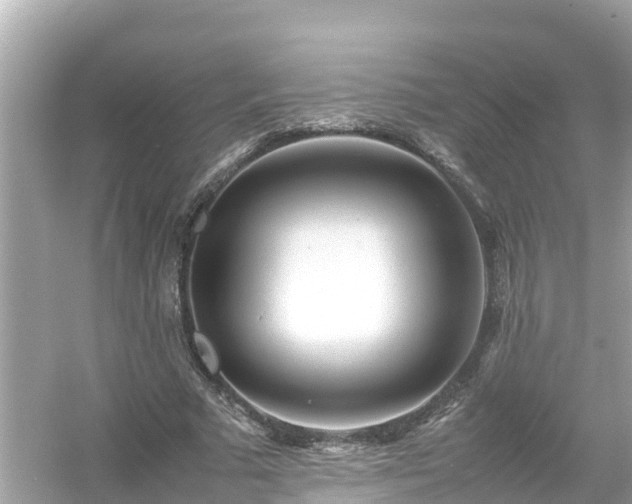 X0000054450681200508051925