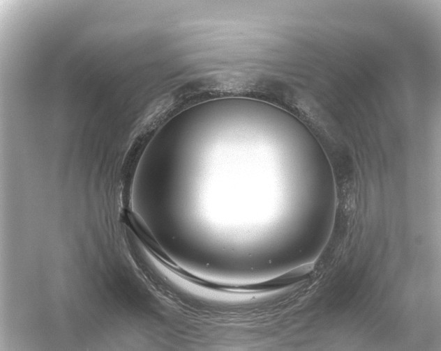 X0000054450685200508051925