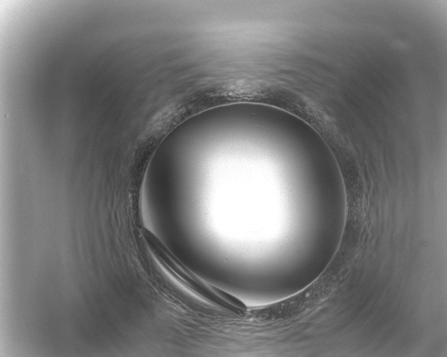 X0000054450689200508051925