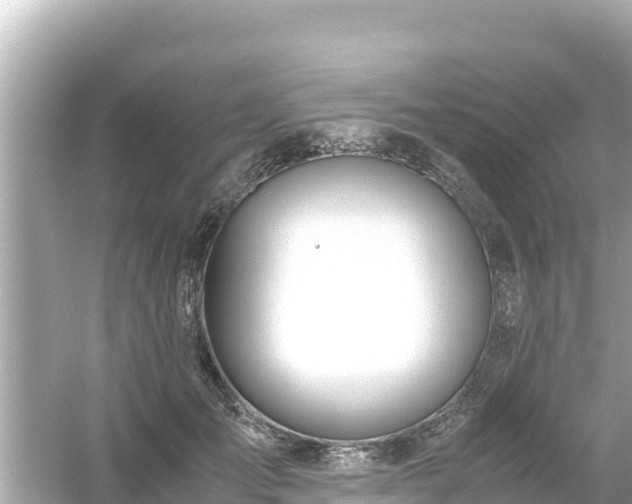 X0000054450701200508051925