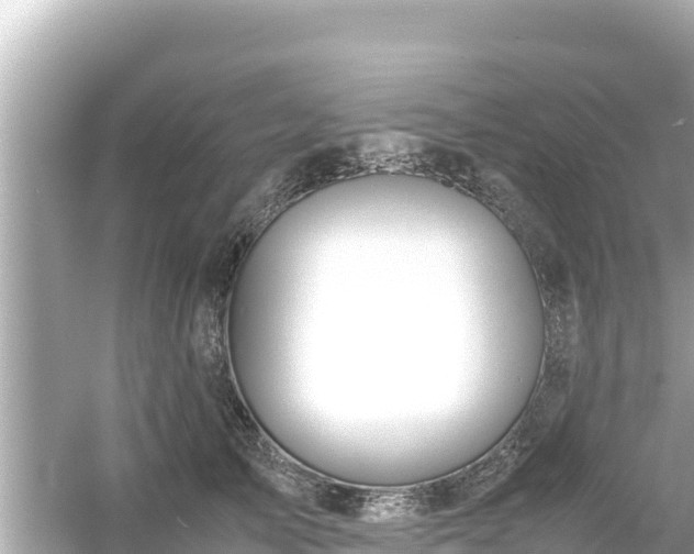 X0000054450705200508051925