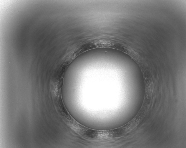 X0000054450709200508051925