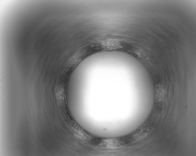 X0000054450713200508051925