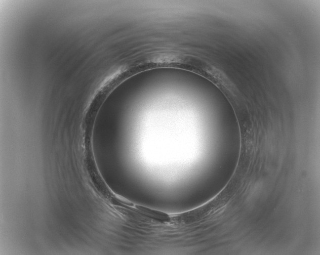 X0000054450727200508051924