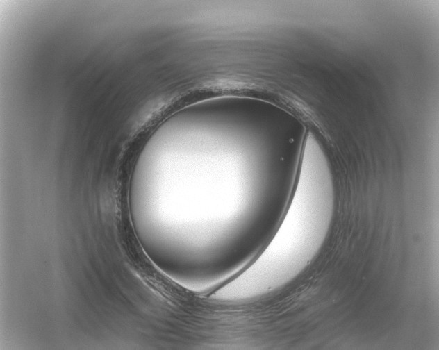 X0000054450732200508051924