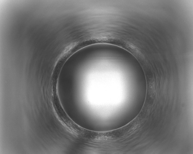 X0000054450734200508051924