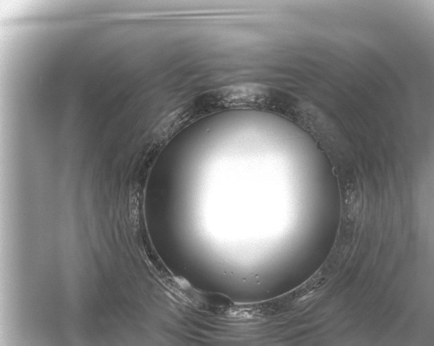 X0000054450753200508051924