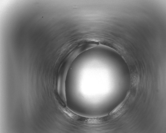 X0000054450766200508051925