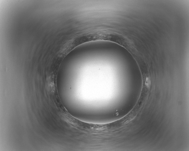 X0000054450771200508051924