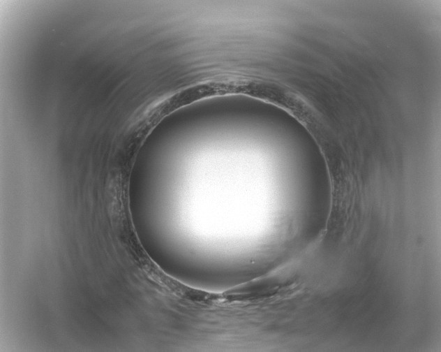 X0000054450773200508051924