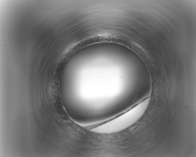 X0000054450776200508051924
