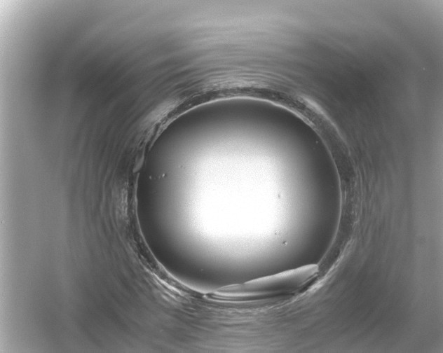 X0000054450777200508051924