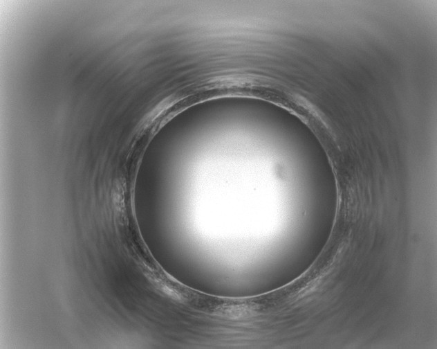 X0000054450778200508051924