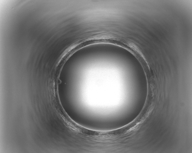X0000054450781200508051924
