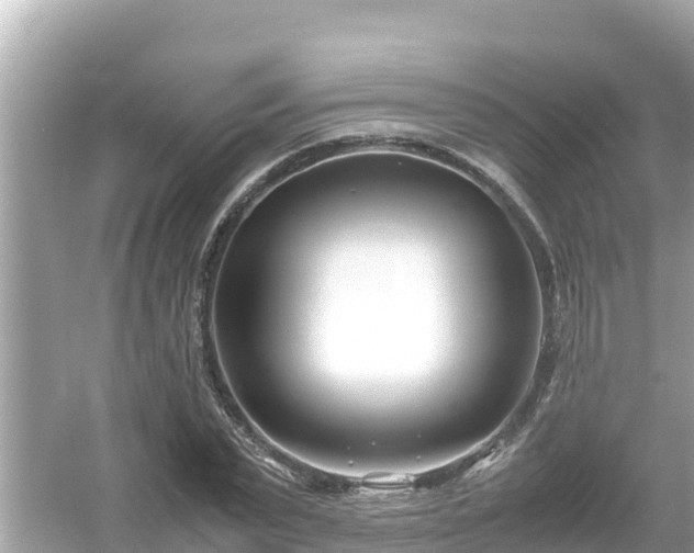 X0000054450783200508051924