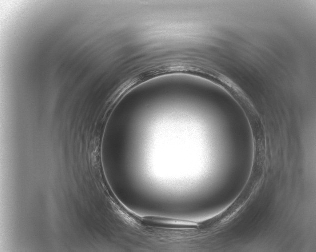 X0000054450801200508051923