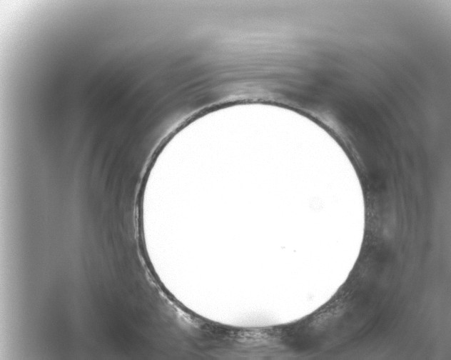 X0000054450807200508051923