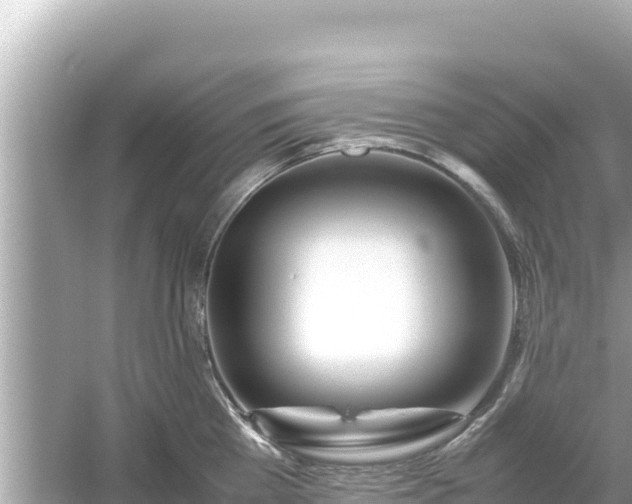X0000054450809200508051923