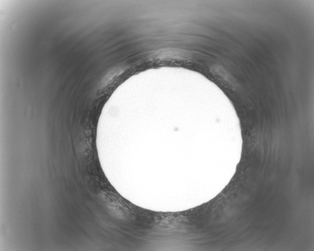 X0000054450824200508051922
