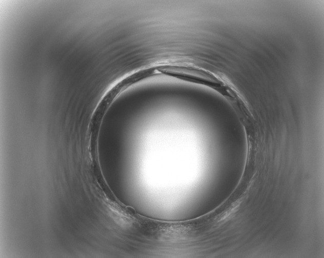 X0000054450830200508051922