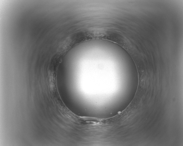 X0000054450866200508051922
