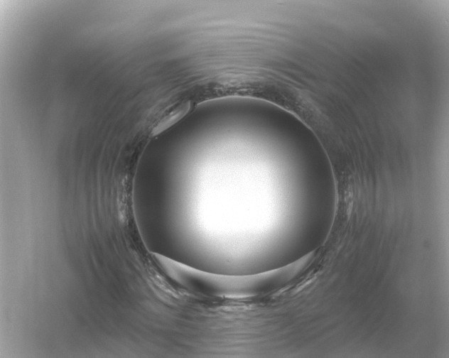 X0000054450868200508051922
