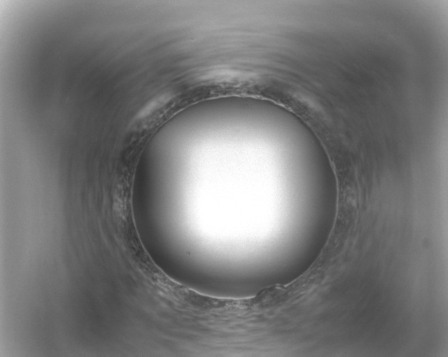 X0000054450869200508051922