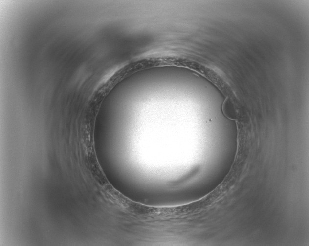X0000054450871200508051922