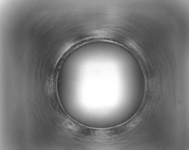 X0000054450875200508051922