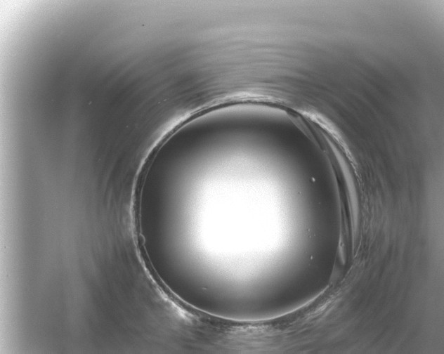 X0000054450902200508051922