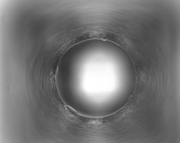 X0000054450914200508051921