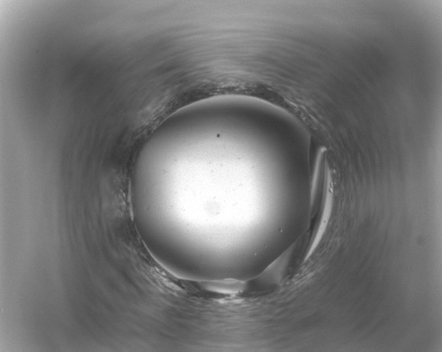 X0000054450916200508051921