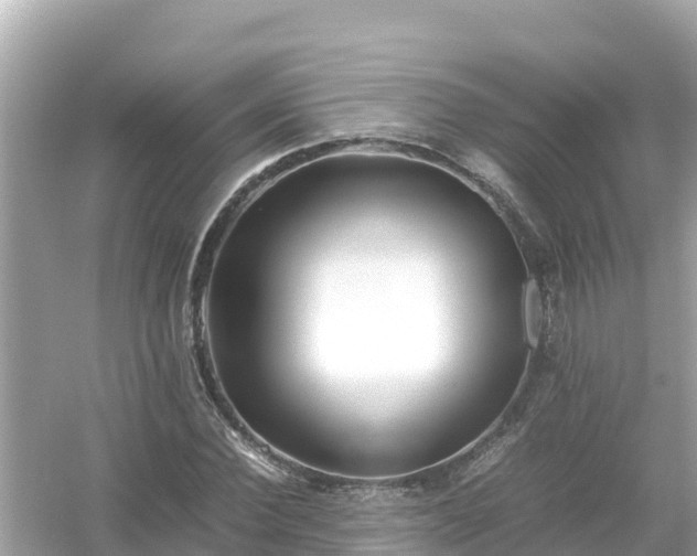 X0000054450924200508051921