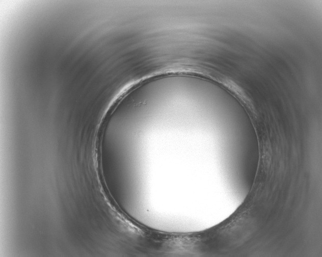X0000054450950200508051921