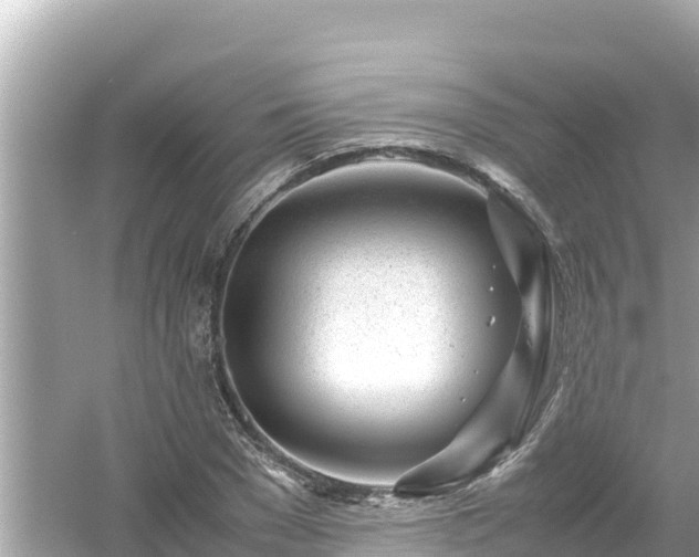 X0000054450977200508051920