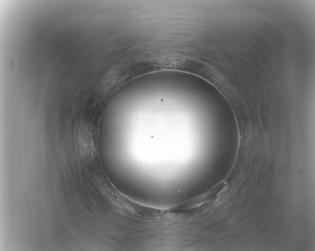 X0000054451058200508051919