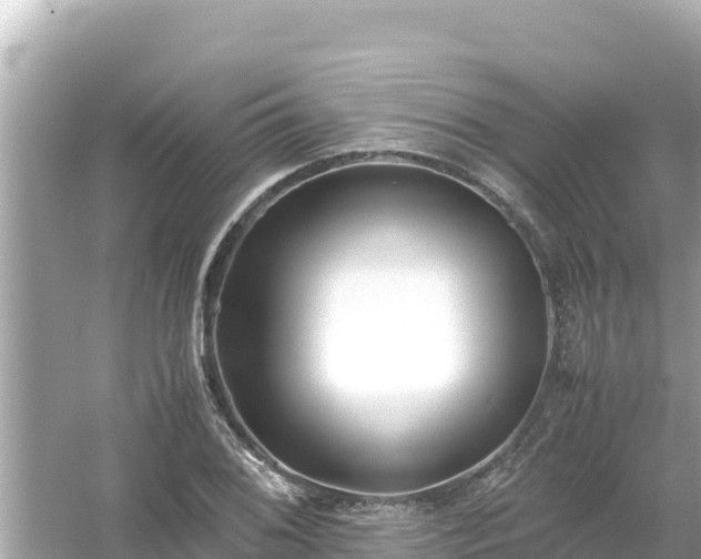 X0000054451076200508051919