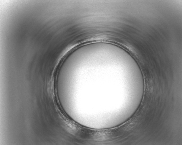 X0000054451078200508051919