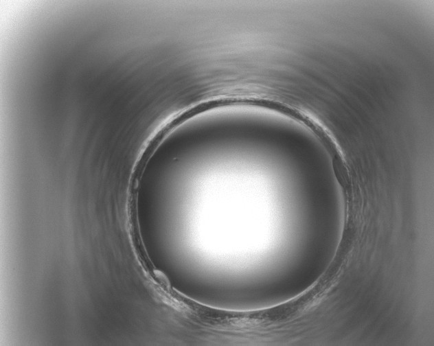 X0000054451085200508051918