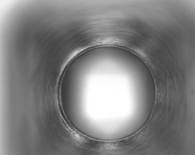 X0000054451086200508051918