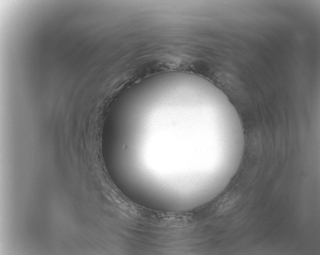 X0000054451105200508051917